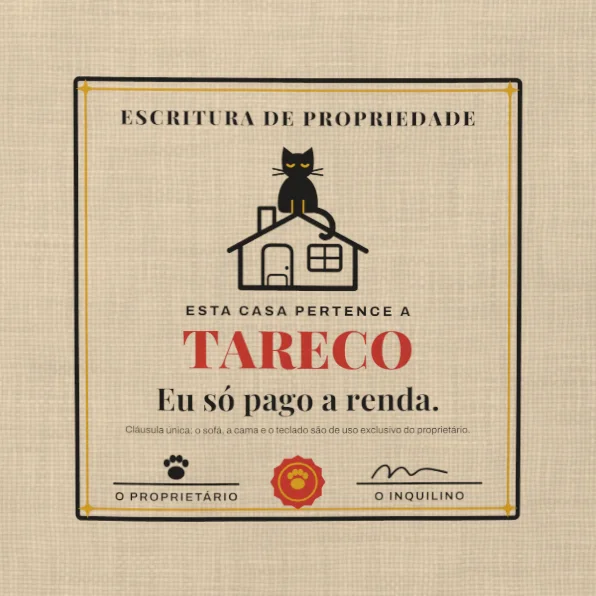 Esta Casa Pertence ao Gato